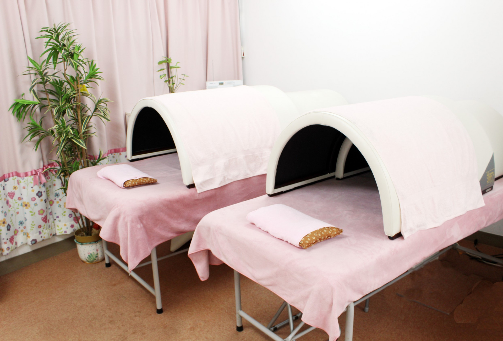 遠赤外線ドーム 60分